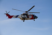 IMG_2959.jpg
