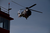 IMG_2966.jpg