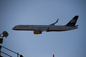 IMG_2989.jpg
