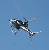 IMG_5823.jpg