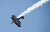 IMG_5895.jpg