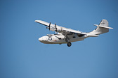 IMG_5917.jpg