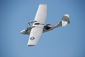 IMG_5922.jpg