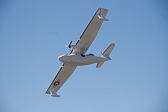 IMG_5938.jpg