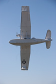 IMG_5948.jpg