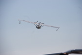 IMG_5953.jpg
