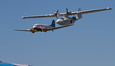 IMG_7381.jpg