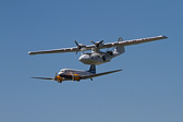 IMG_7382.jpg