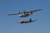 IMG_7383.jpg