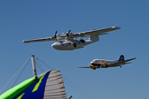 IMG_7384.jpg