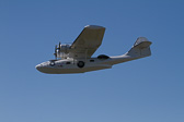IMG_7386.jpg
