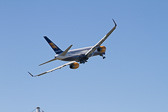 IMG_7446.jpg