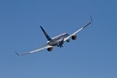 IMG_7447.jpg