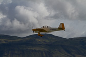 IMG_0795.jpg