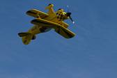 IMG_0958.jpg