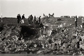 17_-24.jpg