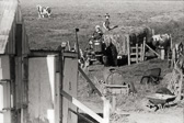 14_-16.jpg