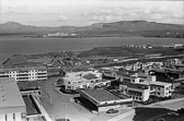 14_-6.jpg