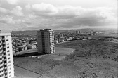 14_-8.jpg