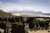 1979_-2-Edit.jpg