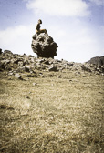 1979_-4.jpg