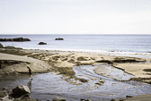 1979_-9.jpg