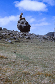 E3_-8.jpg
