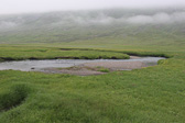 IMG_0020.jpg