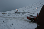 IMG_4781.jpg