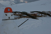 IMG_6185.jpg