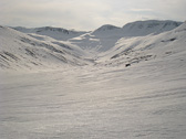 IMG_9153.jpg