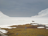 IMG_9161.jpg