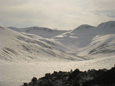 IMG_9164.jpg