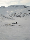IMG_9178.jpg