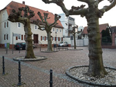 2016-03-16-18.14.55-2.jpg