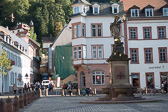 DSC02399.jpg