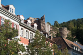 DSC02403.jpg