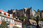 DSC02405.jpg
