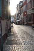 DSC02429.jpg