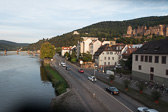 DSC02442.jpg