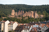 DSC02456.jpg
