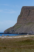 IMG_1617.jpg