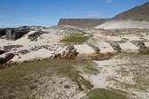 IMG_1666.jpg