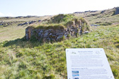 IMG_1684.jpg